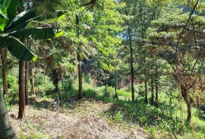 0.5 ac Land at Kirawa Road - 4