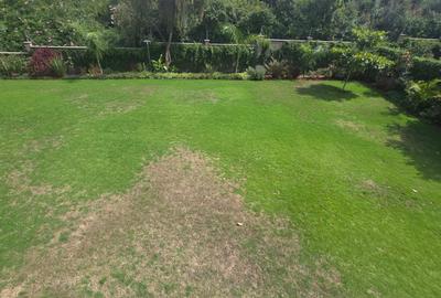 5 Bed House with En Suite in Karen