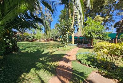 Commercial Property with Parking in Lavington - 2