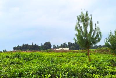 20 ac Residential Land at Riara Ridge