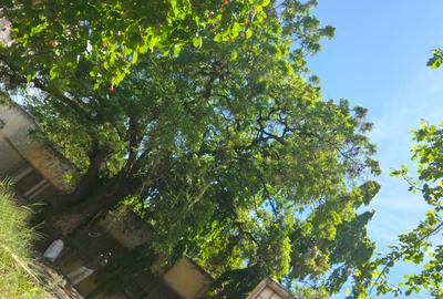 1 ac Commercial Land at Nyerere Street - 2