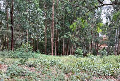 Residential Land at Nyari Estate