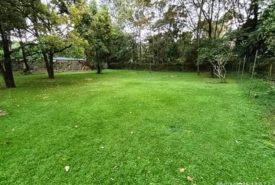 Commercial Property with Fibre Internet in Lavington