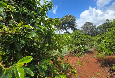 1 ac Residential Land in Kiambu Road - 2