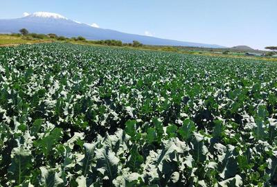 180 ac Land in Kajiado