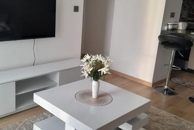 Serviced 1 Bed Apartment with Swimming Pool in Tatu City - 2