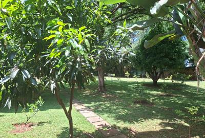 3 Bed Townhouse with En Suite at Close To Braeburn School - 2