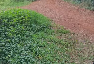 Land at Kibiko Ngong