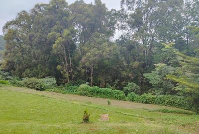 2.8 ac Land at Farasi Lane