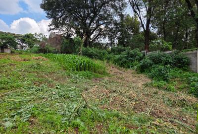 Land in Kitisuru - 3
