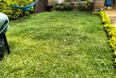 4 Bed Townhouse with En Suite in Lavington