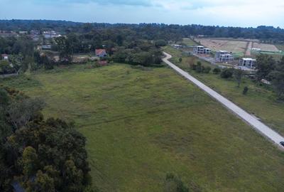 1 ac Land in Karen