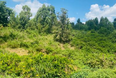 100 ac Land at Kenol-Murang’A Highway - 4