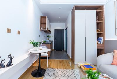 Studio Apartment with En Suite at Lower Kabete Road - 2