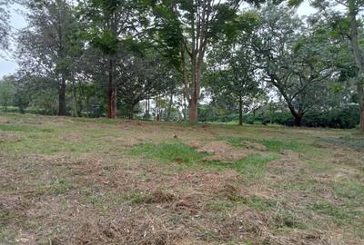Residential Land at Oloolua Ridge - 4