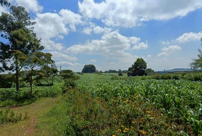 Commercial Land at Kikuyu