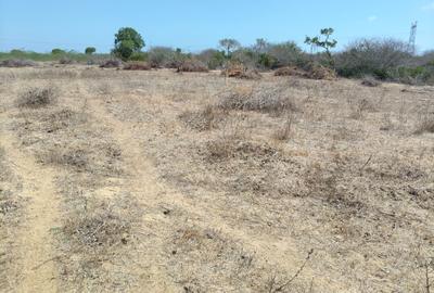 1 ac Land at Msumarini - 2