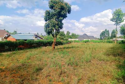 1,000 m² Residential Land at Karie