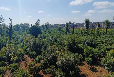 30 ac Land in Kiambu Road