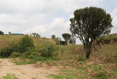 0.25 ac Residential Land at Nakuru - 2