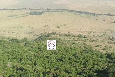 20 ac Land at Masai Mara Game Reserve