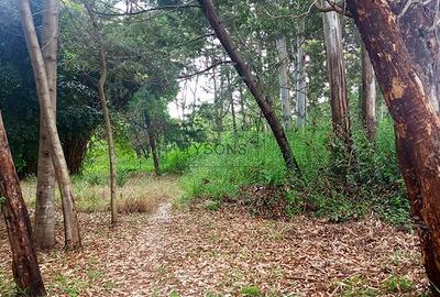 10 ac Land in Karen - 2