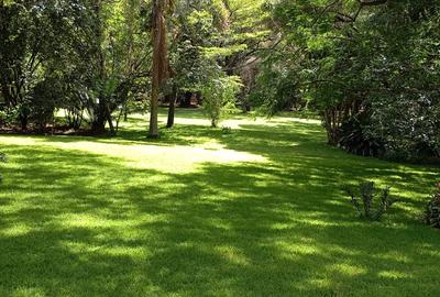 Land in Karen - 3