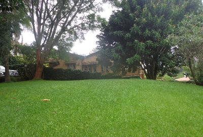 Land at Westlands