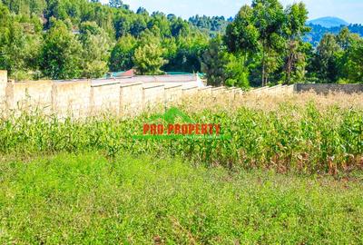 0.05 ha Residential Land at Ondiri - 4