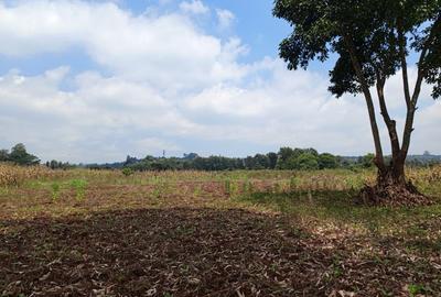 Land in Karen - 3
