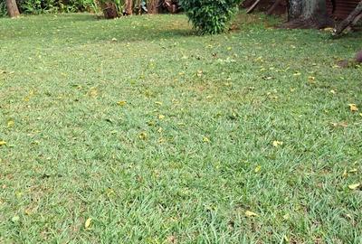 Commercial Land at Westlands