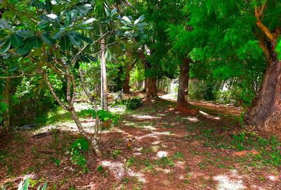 16,187.44 m² Land at Kilifi Bofa Beach Road - 4