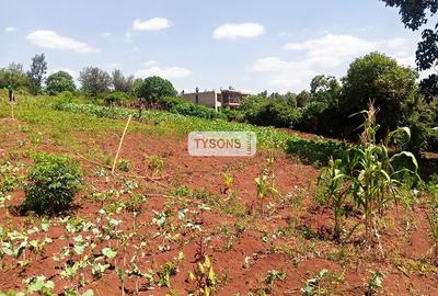 Residential Land in Thome - 3