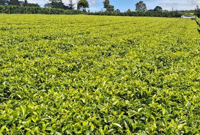 1 ac Residential Land at Limuru Girls High School - 2