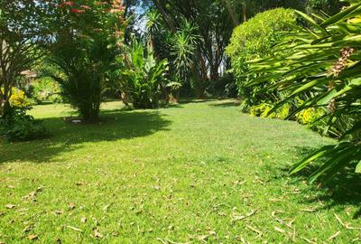 5 Bed Townhouse with En Suite in Rosslyn - 4