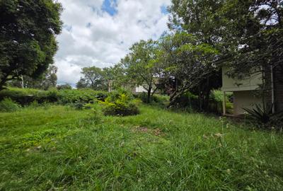 Commercial Land in Lavington