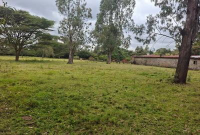 1 ac Land in Karen - 4