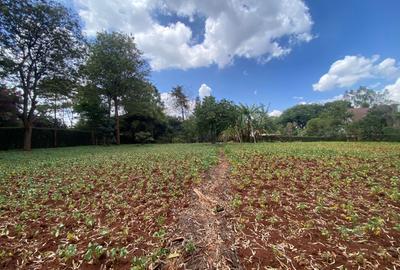 Land in Karen - 3