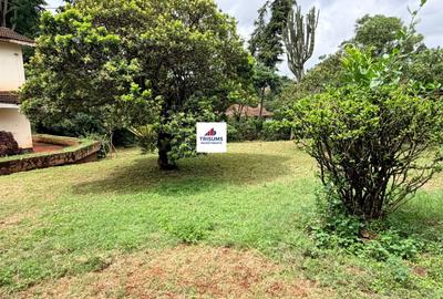 0.125 ac Land at Muchatha - 3