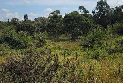 100 ac Land at Kenol Marwa Highway - 4