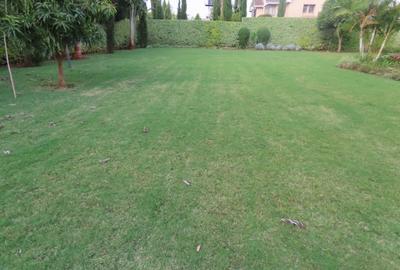 4 Bed Townhouse with En Suite in Karen - 4