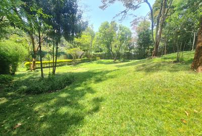 3 Bed House with En Suite at Kyuna - 4