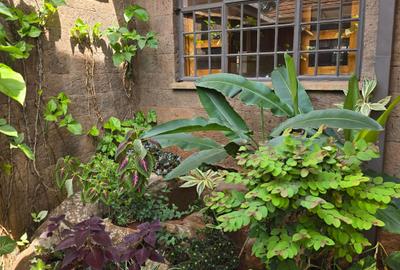 4 Bed Townhouse with En Suite in Spring Valley - 2