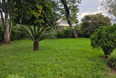 Commercial Land in Lavington - 2