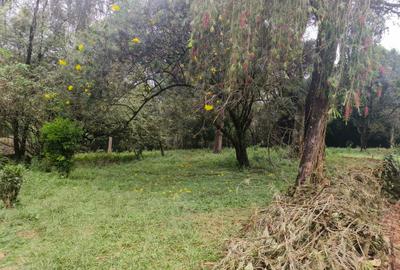 Residential Land in Kitisuru - 4