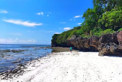 167.5 ac Land at Kuruwitu Beach - 2