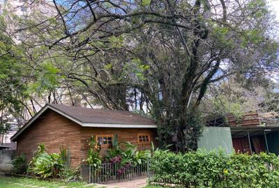 Furnished Commercial Property with Parking at Muringa Groove - 4