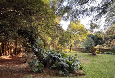 4 Bed House with En Suite in Muthaiga - 3