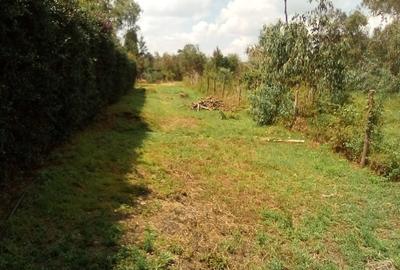 Land at Off Bogani Rd