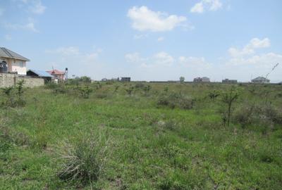 Land at Sabaki